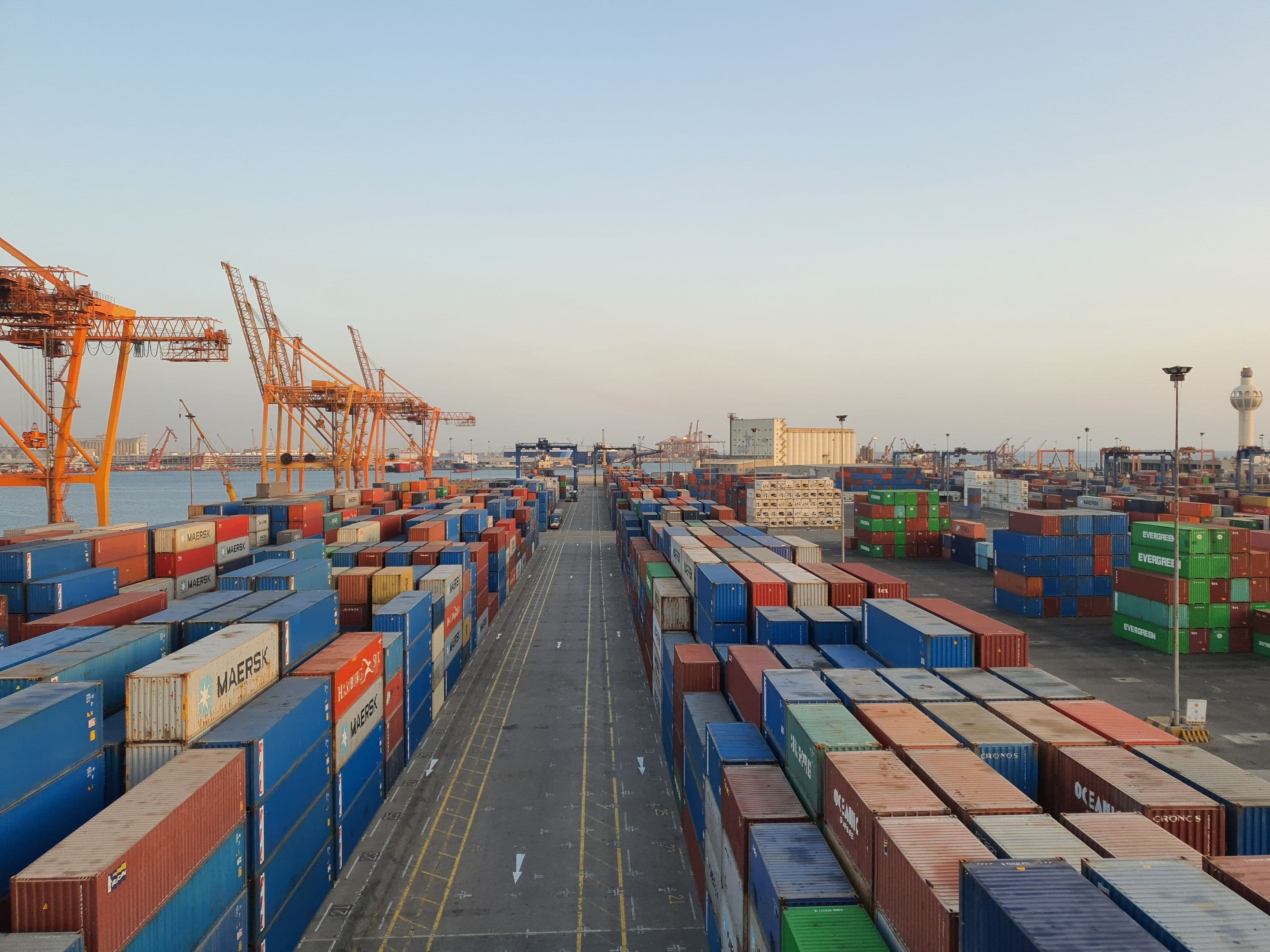 Rows of shipping containers at a port terminal in warm morning light
