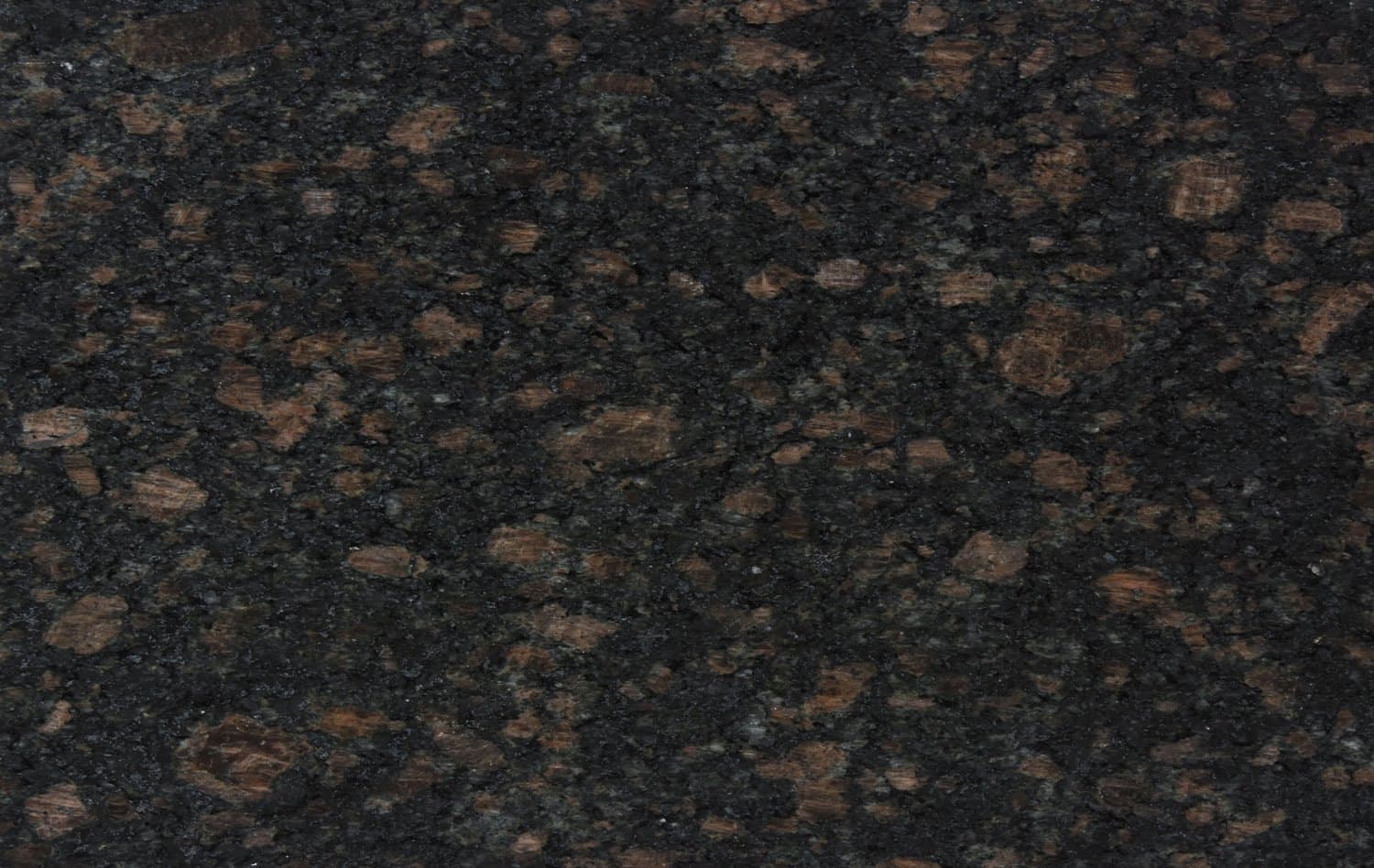 Coffee Brown