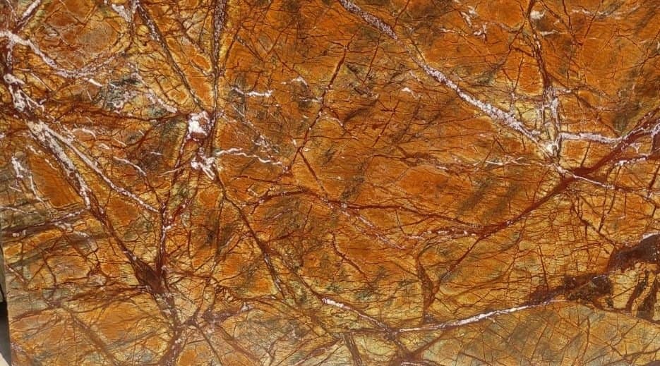 Rainforest Brown